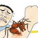 개미농장 2농장 이미지