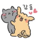 김상연 타이어연구소 이미지