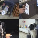 대수농장 이미지