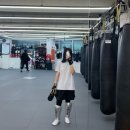 장튼튼홍내과의원 | 구리 운동 추천 :: 2년째 재등록 중인 원라운드 킥복싱 무에타이 다이어트 PT 후기