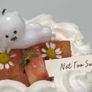 낫투스윗 이미지