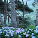 내촌마을 이미지