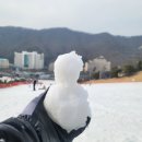 비발디150 | 2025.01.04 토요일 주간 비발디파크 스키장 후기