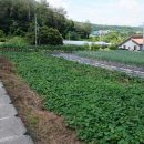 사암부동산공인중개사사무소 이미지