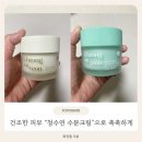 데이 연 | "청수연 수분크림"｜데이&나이트 루틴으로 쓰기 좋은 부평초 크림 후기
