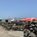 [제주도] 가볼만한 곳 / 5월 제주도 여행 가파도 / 2025 청보리축제 / 청보리밭 / 배시간, 예약방법