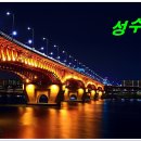 뚝섬 Daum카페