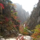 약수주유소 이미지