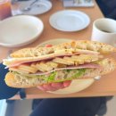 부산진여자중학교 | 전포 애견동반가능한 브런치카페 오니스[ONIS] 솔직후기