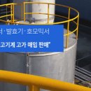 진성화학 이미지