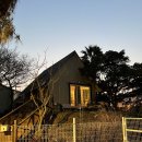 똘내미집 이미지