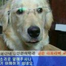아씨