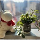 마음튼튼 심리상담센터 이미지