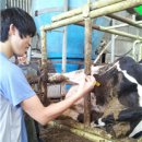 농고목장 이미지