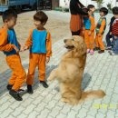 해누리유치원 이미지