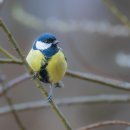 거북장 | 경주 버드파크 (입장료, 먹이체험, 실내관람)
