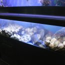 해물천지 이미지