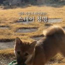 스테이 청명 이미지