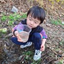 삼육영농조합법인 2농장 | 한터농원 올챙이 잡기체험 꿀팁정리, 서울근교 용인 올챙이, 도롱뇽 관찰하기, 경기도 아이와 체험 학습...
