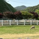 남해-179 이미지