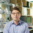 국제정원석 이미지