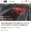 조은어린이집 | 옛날 석쇠구이 방식으로 구워 바삭바삭한 숯불김 | 참조은숯불김 | 택배 후기