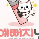 예뻐지냥 | 대구고양이미용 예뻐지냥에 다녀왔어요!