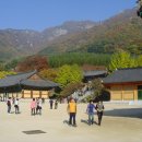 표충사 - 1903 | 표충사