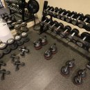 레이 휘트니스 이미지