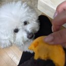 황 | 요즘 빠진 황치즈 간식 추천🧀 촉촉한 황치즈칩 후기