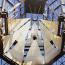 약용식물관리사 이미지