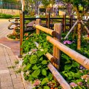 공원로352번길 이미지