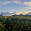 연천 호로고루 이미지