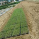 가자농장 이미지