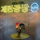 플라잉에그