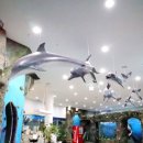 땅끝해양자연사박물관 이미지