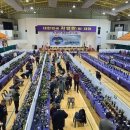 모악축산 티스토리