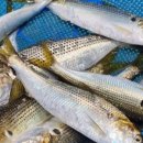 윤정스토어 이미지