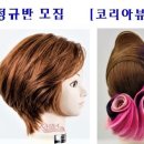 광덕신약(주) 이미지