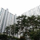 일산공인중개사사무소 이미지