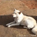 순천승마장 이미지