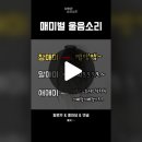 틱톡https://vt.tiktok.com/ZSYKgB71o/ 매미소리 이미지