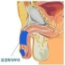 스마트맨의원 이미지