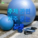 홈트레이닝 이미지