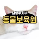 동물보육원 안산지부 네이버블로그