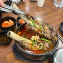 제주 세호해장국 김해진영점 | 김해맛집추천 제주세호해장국 김해진영점 얼큰한 소갈비 해장국