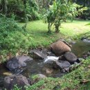 아침 요가 이미지