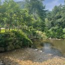 N-Top PC | 자연휴양림의 모든 것! 예약 성공 꿀팁, 장점, 단점, 추천 Top3 (feat.숲나들이(숲나들e))