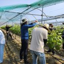 기술보급과 이미지