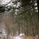 CU 홍천샘골휴게소점 | 겨울 그리고 삼봉자연휴양림